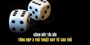 Cách Bắt Tài Xỉu | Tổng Hợp 3 Thủ Thuật Hay Từ Cao Thủ