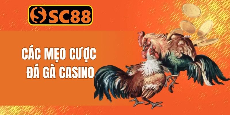 Điểm danh các mẹo soi cầu chọi gà casino SC88 cực hot