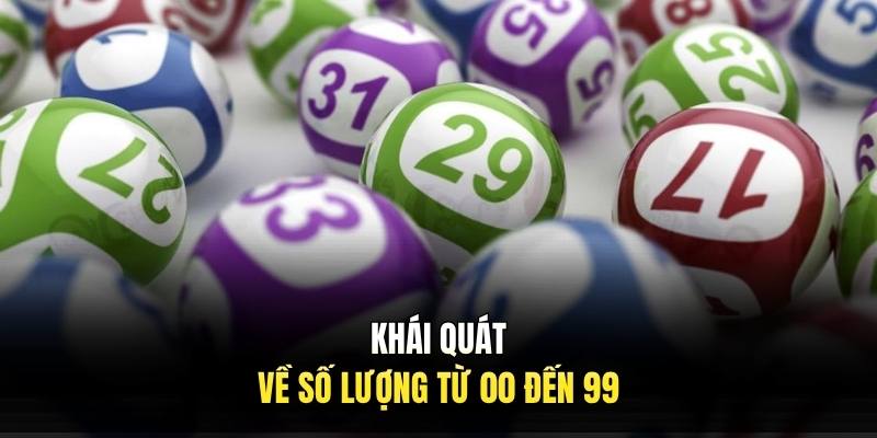 Khái quát về số lượng từ 00 đến 99