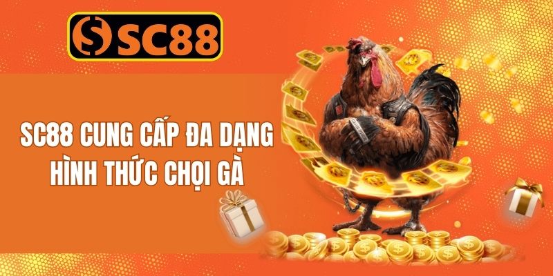 SC88 cung cấp đa dạng các hình thức chọi gà trực tuyến