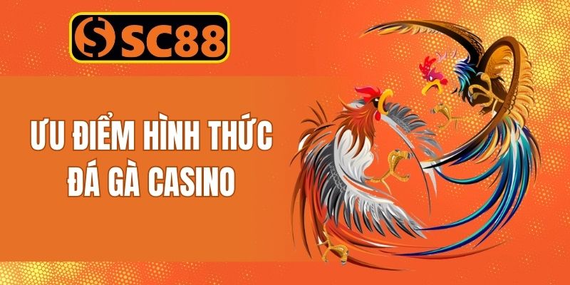 Siêu phẩm game đá gà Casino tích hợp đa dạng ưu điểm