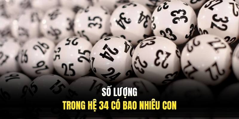 Số lượng trong hệ 34 có bao nhiêu con